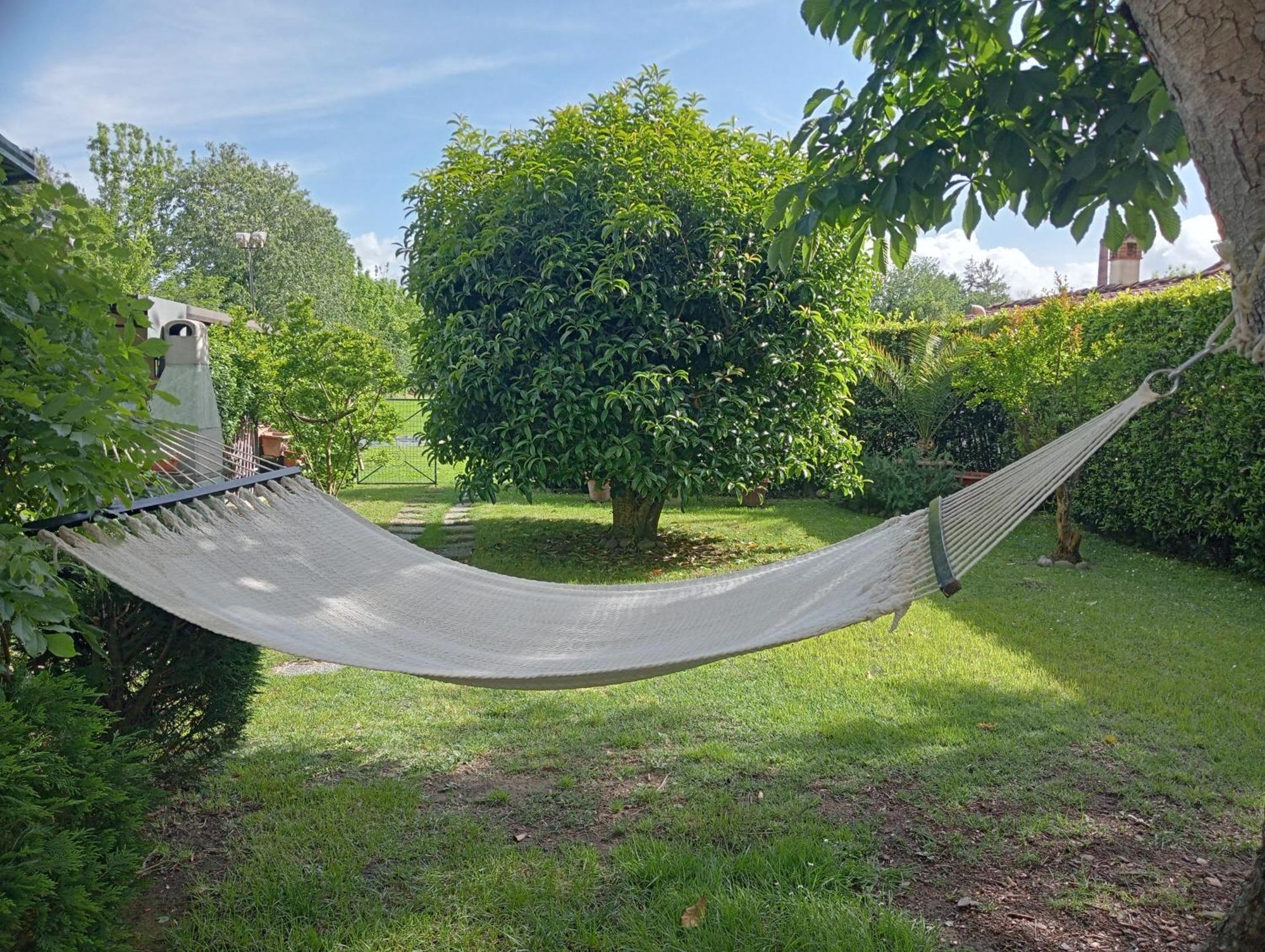 Villa Ippocastano Lucca Exteriér fotografie